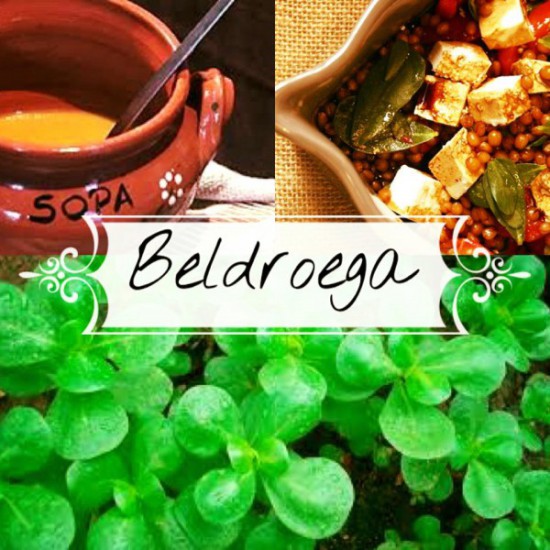 Sopa de pargo com Beldroegas Beldroega - nutrição integrativa-nutrição funcional