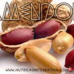 Amendoim, um alimento funcional Amendoim - Alimento funcional - Nutrição Integrativa