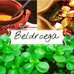 Beldroega, um alimento funcional beldroega_destaque