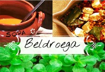 Beldroega, um alimento funcional beldroega_destaque