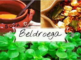 Beldroega, um alimento funcional beldroega_destaque