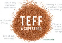Teff, um alimento funcional teff_destaque