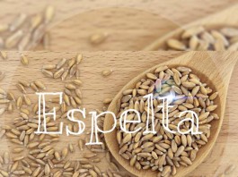 Espelta, um alimento funcional espelta