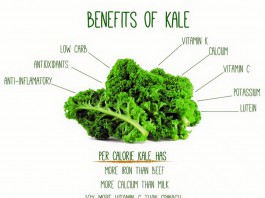 Couve, um alimento funcional couve