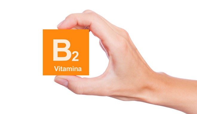 Vitamina B2 ou Riboflavina Vitamin B2