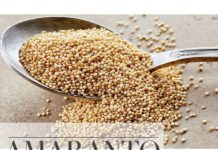 Amaranto, um alimento funcional Amaranto