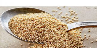 Amaranto, um alimento funcional Amaranto