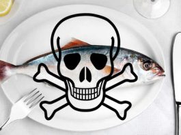 Devemos evitar comer peixe por causa do mercúrio? peixe_toxico