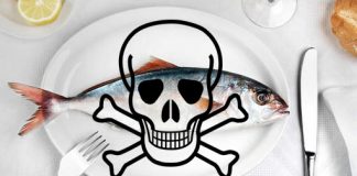 Devemos evitar comer peixe por causa do mercúrio? peixe_toxico