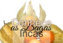 Conhece as Bagas Incas bagas_incas