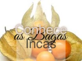 Conhece as Bagas Incas bagas_incas