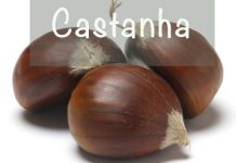 Castanha, um alimento funcional castanha