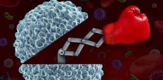 Qual a relação entre nutrição e sistema imunitário? imune cells