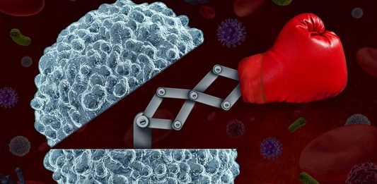 Qual a relação entre nutrição e sistema imunitário? imune cells