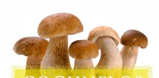 Cogumelos, um alimento funcional cogumelos