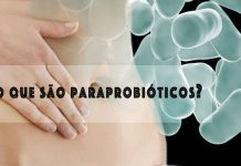 O que são paraprobióticos? paraprobióticos