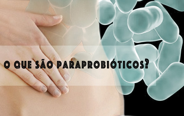 O que são paraprobióticos? paraprobióticos