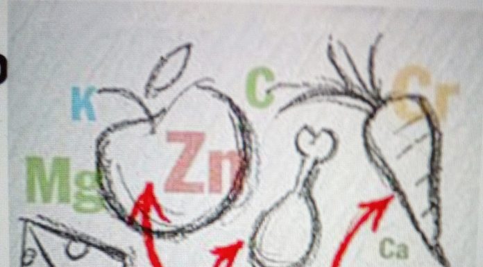 Interação entre os alimentos e medicamentos food pill