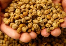 Já conhece a chufa? Chufa