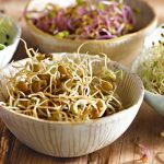 ABC dos germinados abc_dos_germinados