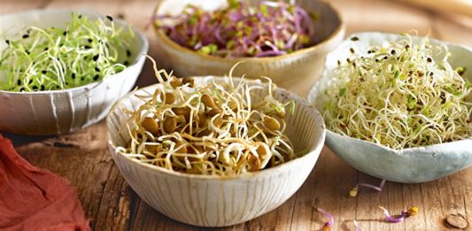 ABC dos germinados abc_dos_germinados