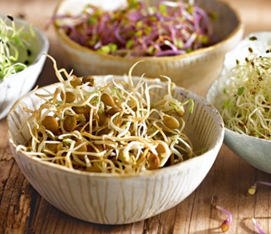 ABC dos germinados abc_dos_germinados