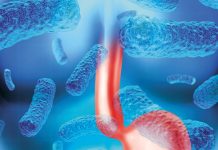 Alimentação na gastroenterite