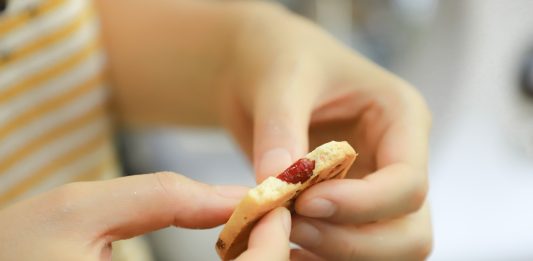 6 tipos de bolachas de aveia saudáveis bolachas saudáveis