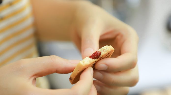 6 tipos de bolachas de aveia saudáveis bolachas saudáveis