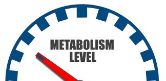 A importância do metabolismo na perda de peso metabolismo.peso