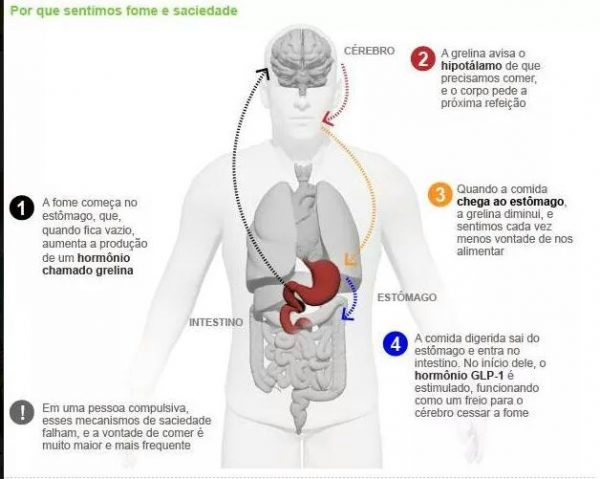 Continua a sentir fome mesmo depois de comer? - Nutrição Integrativa