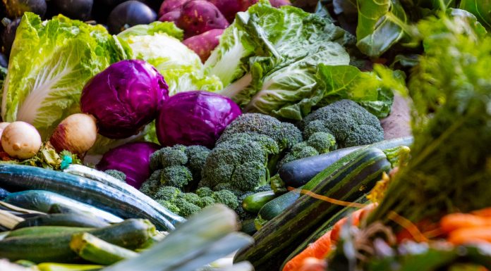 Alimentos que ajudam o organismo a se curar